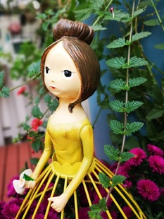 欧式铁艺装饰摆件，可爱娃娃植物铁线莲，爬藤小花架园艺杂货