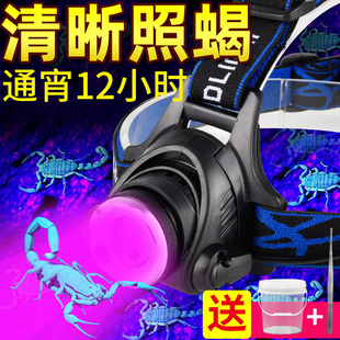 照蝎子专用灯强光头戴式手电筒，可充电两用大功率超亮紫光超长续航