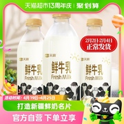 天润新疆特产生鲜牛奶3.6g蛋白巴氏杀菌鲜牛乳950ml*3瓶