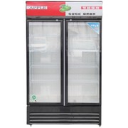 饮料展示柜冷藏保鲜柜商用冰柜立式单双门超市饭店啤酒柜真风冷