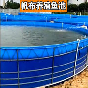 帆布鱼池养鱼蓄水池防水布加厚刮布袋大型塑料水产养殖水箱专用