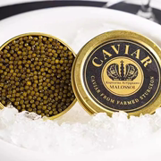 阿拉王鲟鱼子酱即食caviar深海7年鲟鱼黑鱼籽酱罐头10g寿司大颗粒