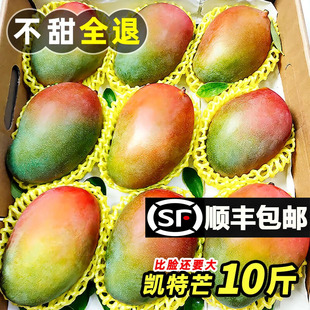四川攀枝花凯特芒果新鲜10应季斤水果芒果整箱特大青忙果当季