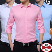 粉色衬衫男长袖秋季冰丝坠感韩式商务正装衫衣领结，抗皱西装衬衣寸