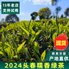 滇湘2024年明前春茶云南早头春新茶糯米香滇绿茶罐罐茶茶叶浓香型