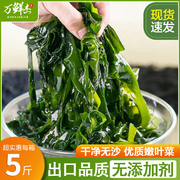 盐渍裙带菜半干货5斤海带，嫩苗丝儿童，海菜海白菜非特级脂肪0