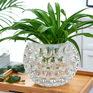 水培器皿创意玻璃花盆水养植物瓶，透明花器绿萝铜钱草花瓶圆形容器