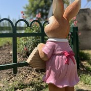 可爱兔子草坪摆件花园树脂动y物入户花园装饰品幼儿园欢迎光临牌
