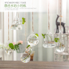 花瓶玻璃透明水培绿萝植物，装饰瓶创意，小清新客厅悬挂简约迷你吊瓶