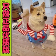 1冬装两脚拿衣服犬吉娃娃，的泰狗秋冬小型美博2020冬季迪狗狗