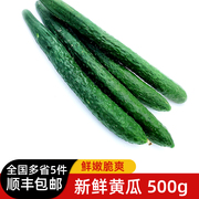 新鲜黄瓜500g带刺大黄瓜长黄瓜当季蔬菜多省5件