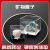 矿标盒原石矿物标本收藏展示盒连体式，透明防尘防摔塑料收纳盒子