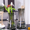 轻奢描金玻璃花瓶透明北欧简约网红客厅百合插花水培花器创意摆件