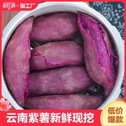 紫薯新鲜紫心红薯番薯，现挖地瓜紫罗兰蜜薯5斤中山芋烟薯农家蔬菜