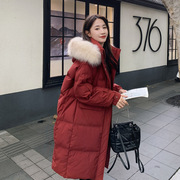 红色羽绒服女冬季2023韩系温柔中长款大毛领90白鸭绒(白鸭绒)加厚外套