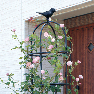 玫瑰爬藤架月季铁线莲，阳台庭院绿植铁艺，花架户外攀爬欧式植物架子
