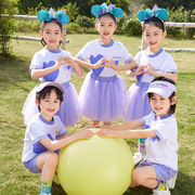 女童紫色蓬蓬裙六一儿童纱裙，表演服夏季套装小学生幼儿园毕业礼服