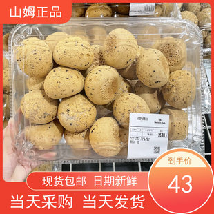 广东深圳山姆麻薯面包24个早餐点心休闲零食下午茶糕点软欧包