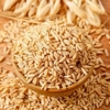 裸燕麦米新米燕麦胚芽米粗粮，农科院燕麦米饭杂粮米五谷杂粮500克