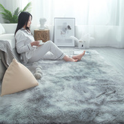 丝毛地毯客厅茶几卧室满铺可爱网红床边毛毯地，垫子pv绒地毯