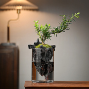 倒山桌面苔藓微景观造景植物生态瓶绿植盆栽玻璃室内盆景创意摆件