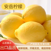 扶农计划安岳柠檬新鲜采摘出口品质大果3斤皮薄果香浓郁天然