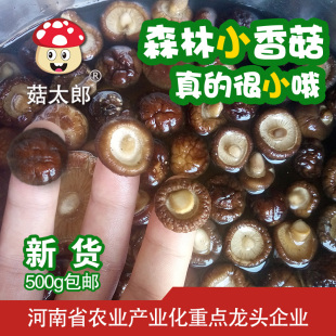 菇太郎小香菇干货特小香菇500g新货金钱菇迷你冬菇珍珠菇香菇