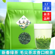 毛尖绿茶新茶浓香型茶叶散装袋装早春嫩芽高山茶店有碧螺春