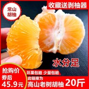 常山胡柚高山种植20斤装新鲜水果正宗柚子西柚非红心剥柚神器