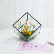 七彩永生玫瑰花盒防尘玻璃罩礼盒微景观摆件多肉植物花盆玻璃花房