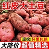 云南土豆新鲜蔬菜小土豆马铃薯洋芋红皮土豆黄心土豆整箱10斤