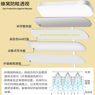 夹子台灯学习专用学生写作业宿舍，便携式护眼台灯，儿童防近视书桌灯