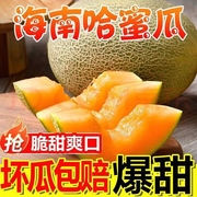 正宗新疆哈密瓜西州蜜，25号吐鲁番网纹甜瓜新鲜水果，应当季整箱10斤