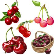 鲜艳的红樱桃卡通水果贴纸厨房冰箱装饰田园风马桶贴花