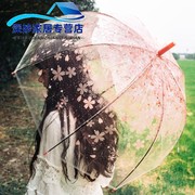 伞樱花雨伞长柄透明女生女神韩国复古糖果色小清新阿波罗公主