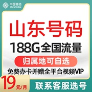 山东济南青岛淄博临沂烟台潍坊济宁归属地移动流量上网手机电话卡