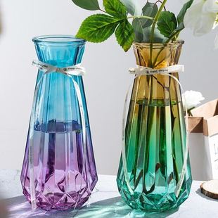 特大号玻璃花瓶透明水养富贵竹客厅花瓶花瓶转运插花欧式花瓶摆件