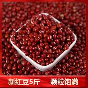 新红豆5斤 东北小圆粒红小豆 红豆奶茶店用专 赤豆杂粮红豆薏米