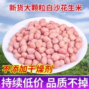 2023年新鲜花生米新货大颗粒白沙农家生花生米商用去散装壳花生仁