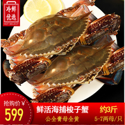 3斤活梭子蟹鲜活大螃蟹海蟹，飞蟹海鲜水产，新鲜公蟹白蟹生母蟹