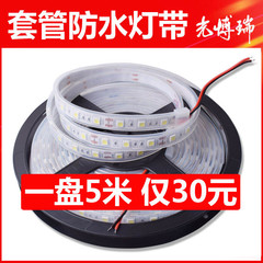 12V 24VLED5050贴片IP67硅胶软套管防水灯带线户外防水软灯条贴片