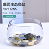 鱼缸玻璃圆形办公桌绿萝水培家用小鱼创意透明小型迷你桌面乌龟缸