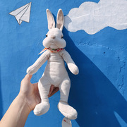 小兔子毛绒玩具彼得兔公仔布娃娃，可爱ins网红玩偶儿童生日礼物女