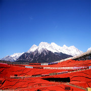 玉龙雪山-云杉坪索道+环保车+印象丽江自驾专线，不含接送，不含门票