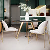 北欧不锈钢餐桌椅现代简约餐椅酒店家用靠椅轻奢现代样板房接待椅