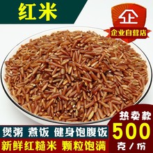 红糙米1斤农家自产红大米新米 红粳米红稻米红米杂粮煮粥材料