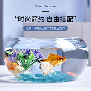 创意水族箱生态圆形玻璃金鱼缸(金鱼缸)大号乌龟缸，迷你小型造景水培花瓶