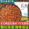 23年新东北农家红糙米新米5斤 胚芽米农家红粳米红稻米红大米红米