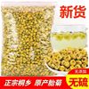 桐乡菊花茶胎菊王500g散装新货正宗白菊花特级菊花茶贡菊泡水