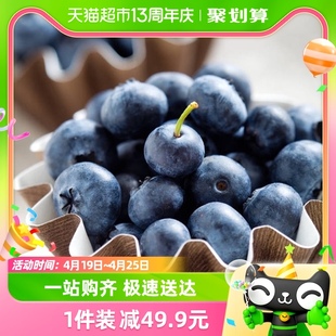 Driscoll's怡颗莓 云南蓝莓125g*4盒中果新鲜水果